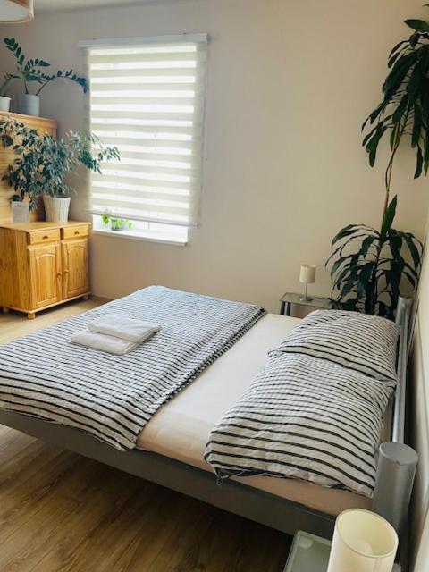 Apartman Lucian Praha Eksteriør bilde